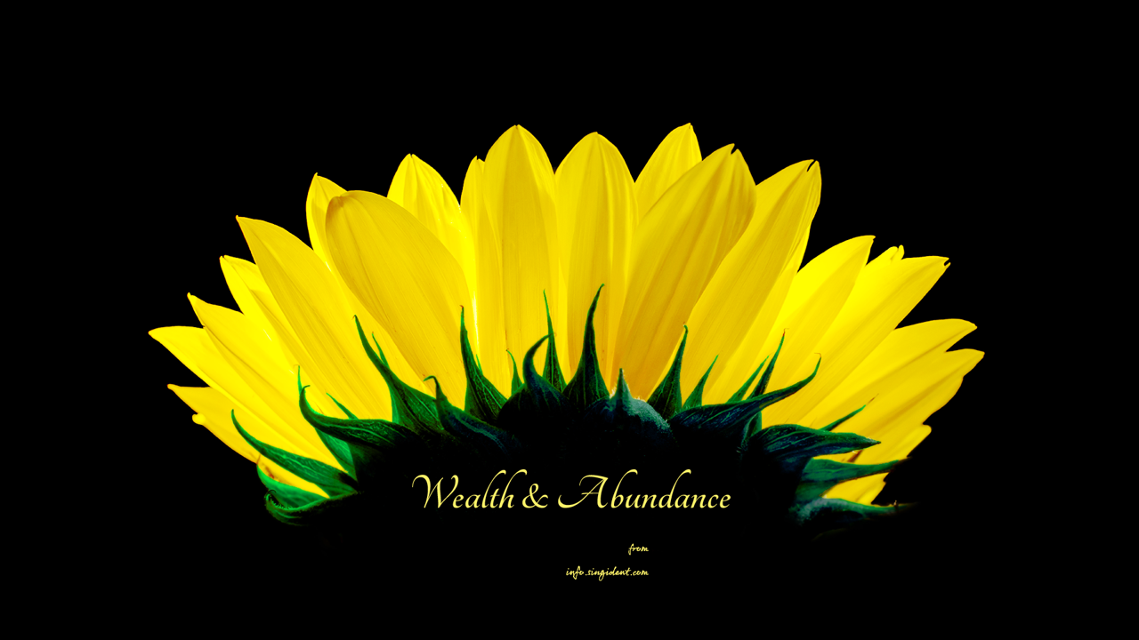 06 해바라기 검정배경 C - Wealth and Abundance 돈들어오는배경화면