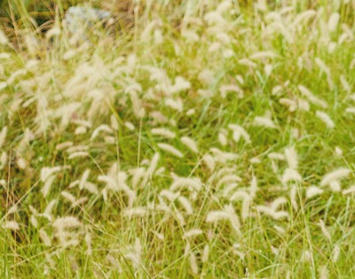 강박증 치료방법