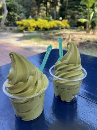 보성녹차휴게소-인기메뉴-녹차아이스크림