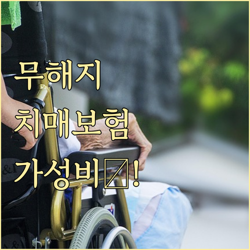 무해지 환급형 치매 보험 가성비 높이..
