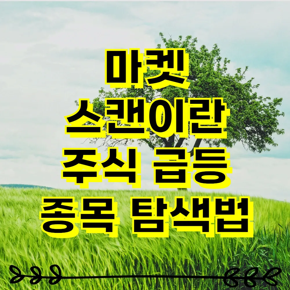 마켓 스캔이란 주식 급등 종목 탐색법