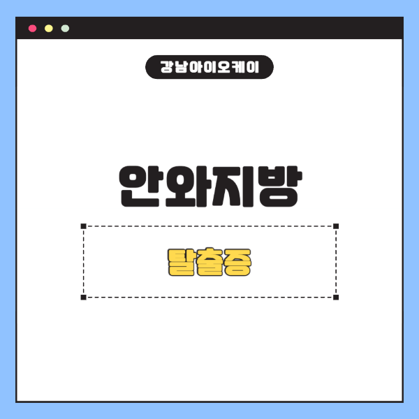 안와지방
