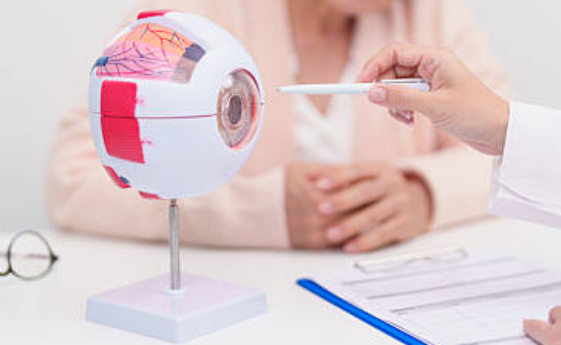 루테인 지아잔틴