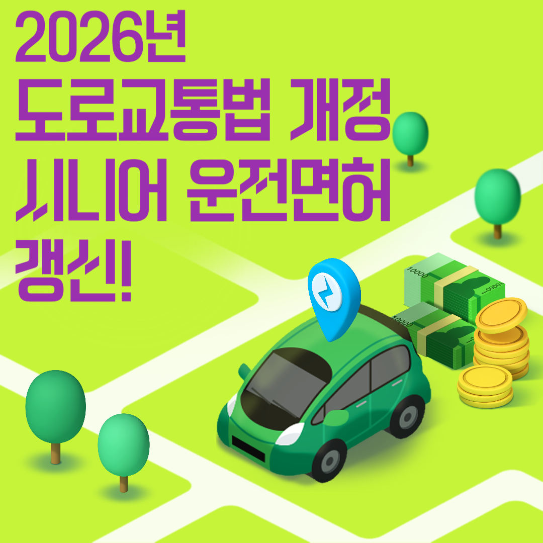 2026년 도로교통법 시니어 운전면허 갱신 3분 완벽 가이드