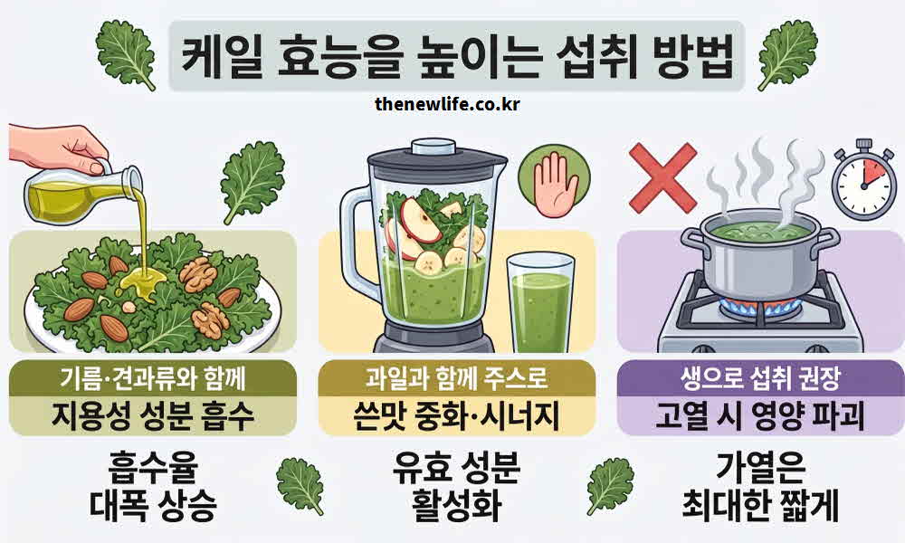 케일 효능 높이는 섭취 방법