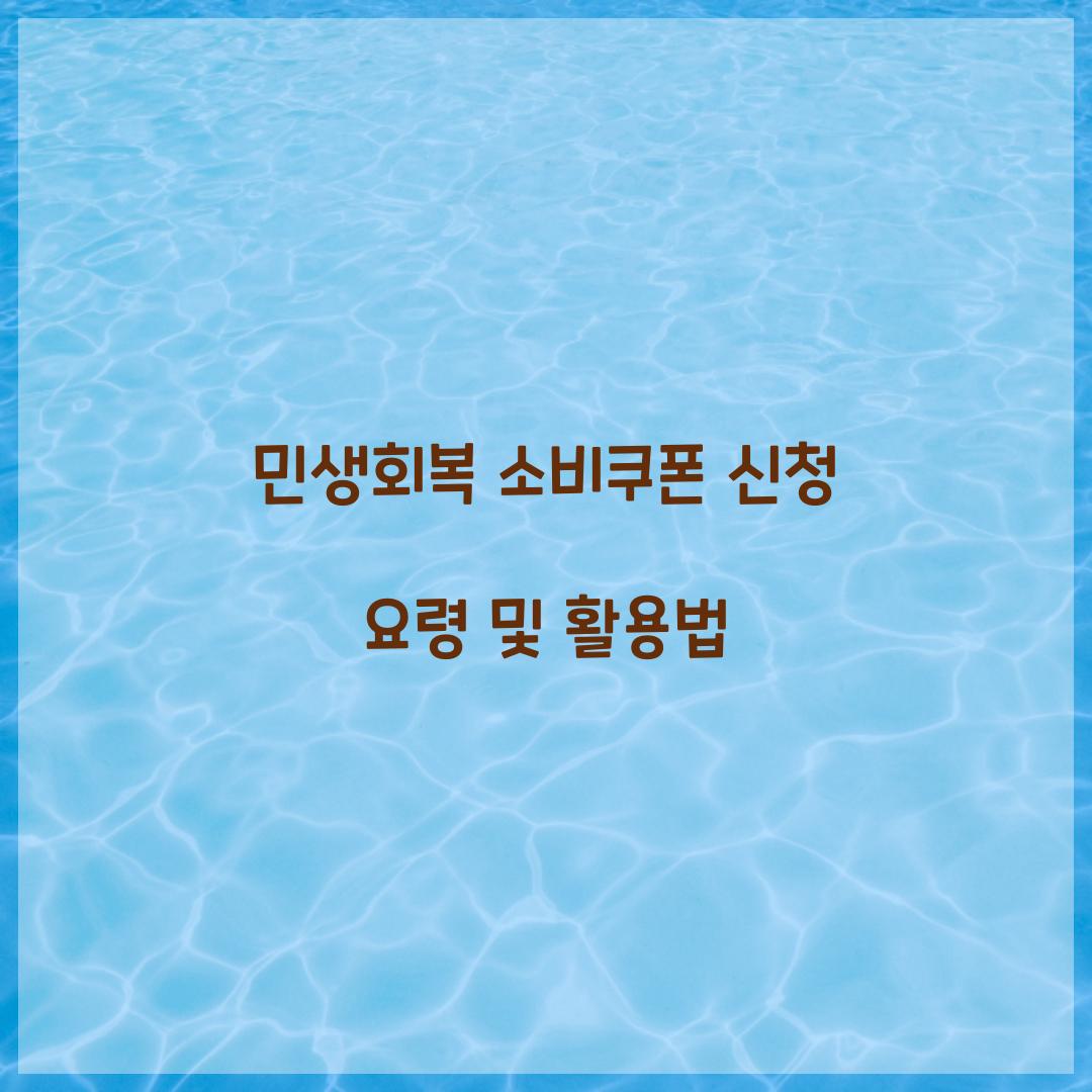 민생회복 소비쿠폰