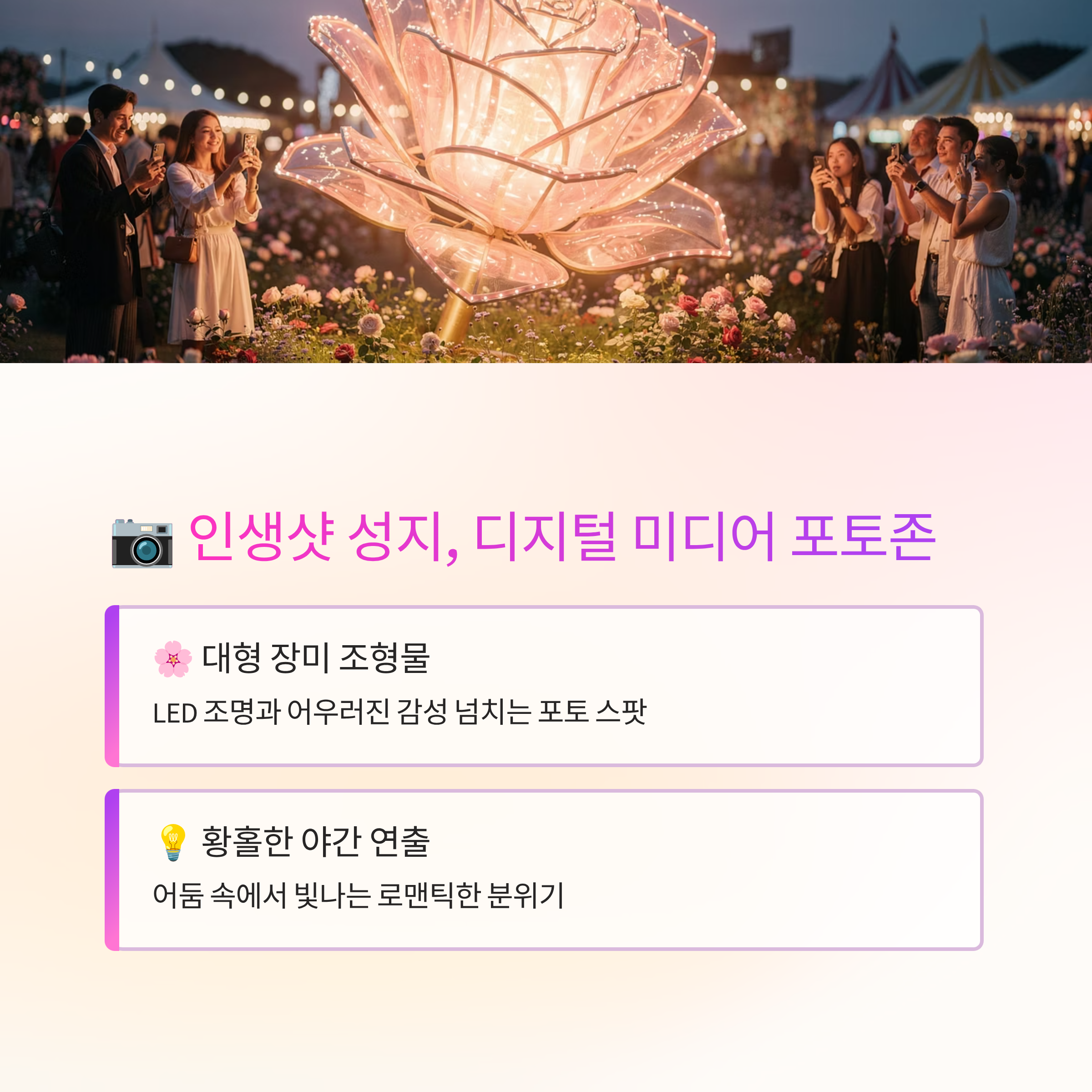 2026 삼척 장미축제 다녀온 솔직 후기! 진짜 명당과 꿀팁 대방출