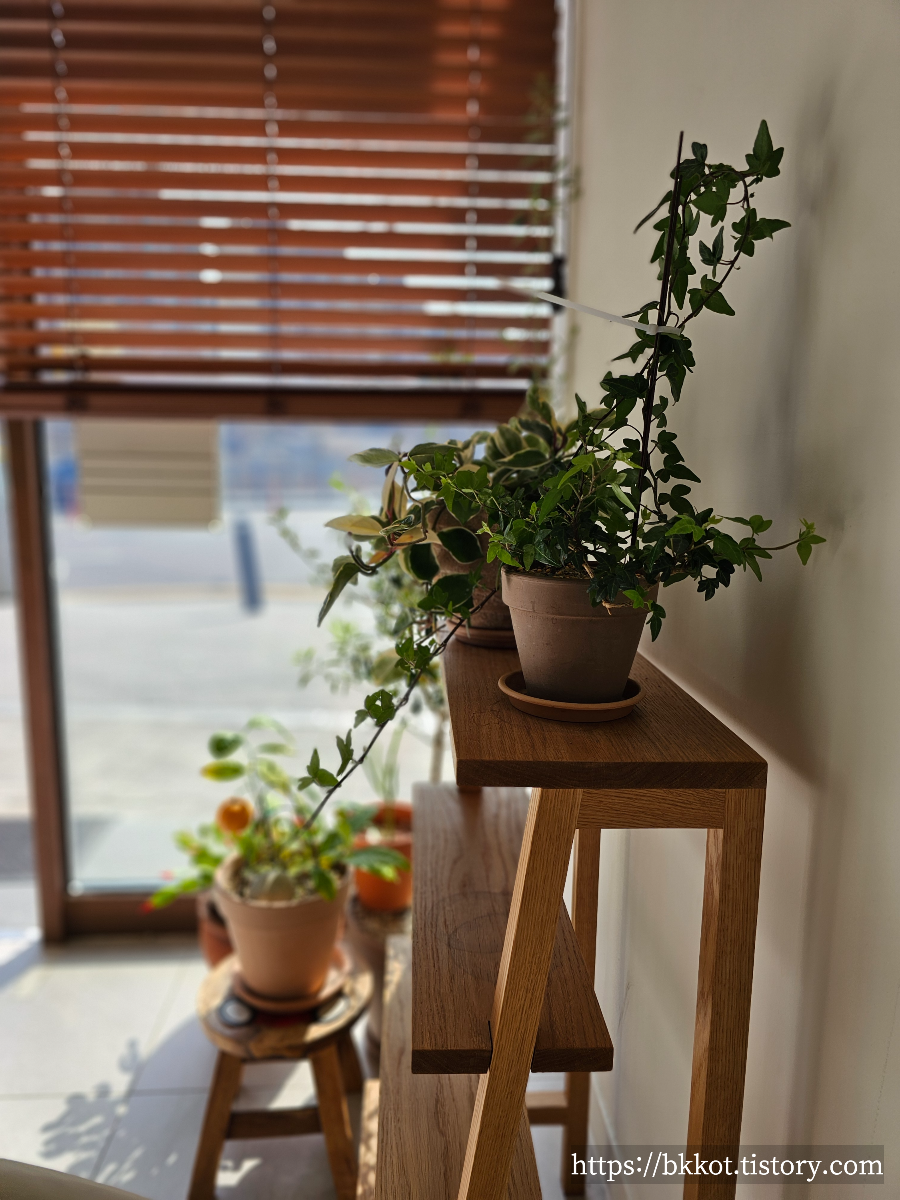 용인 수지 마리앤미