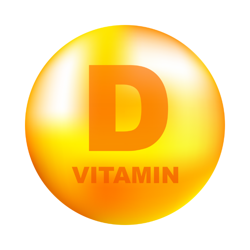 비타민 D