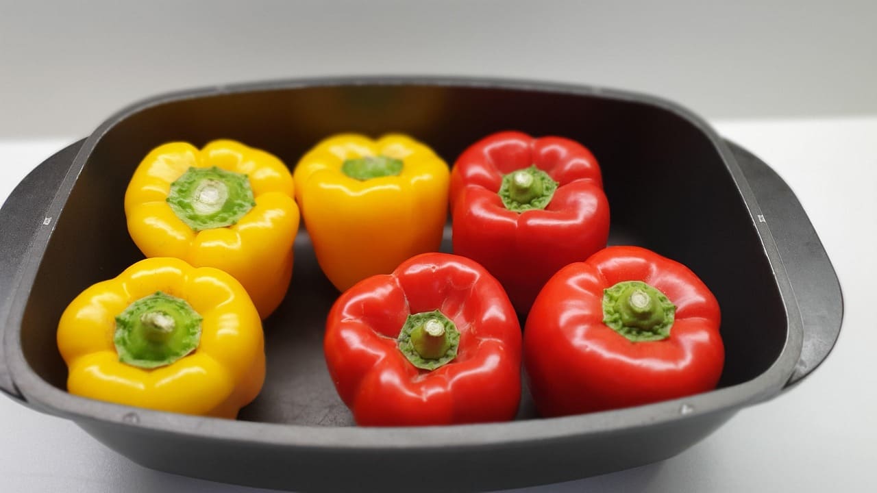 피망 파프리카 차이의 파프리카