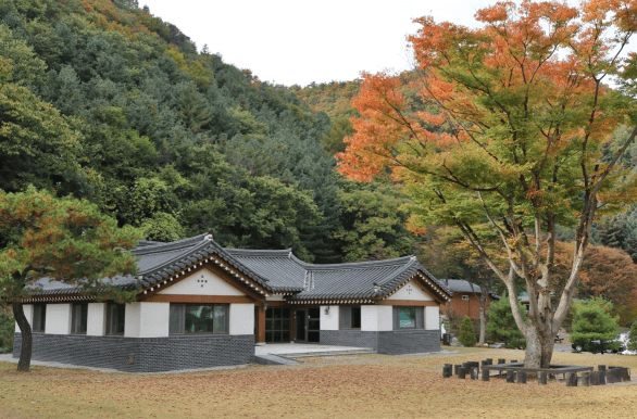 [명품숲길 50선 가을단풍 산행 ③] 청년 김대건길 : 역사와 단풍이 만나는 용인의 순례숲