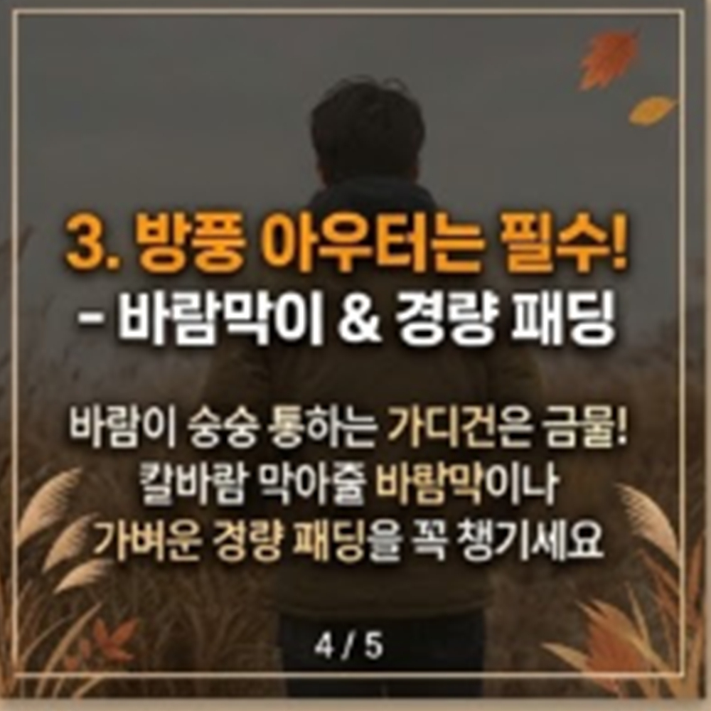 11월 제주도 여행 옷차림