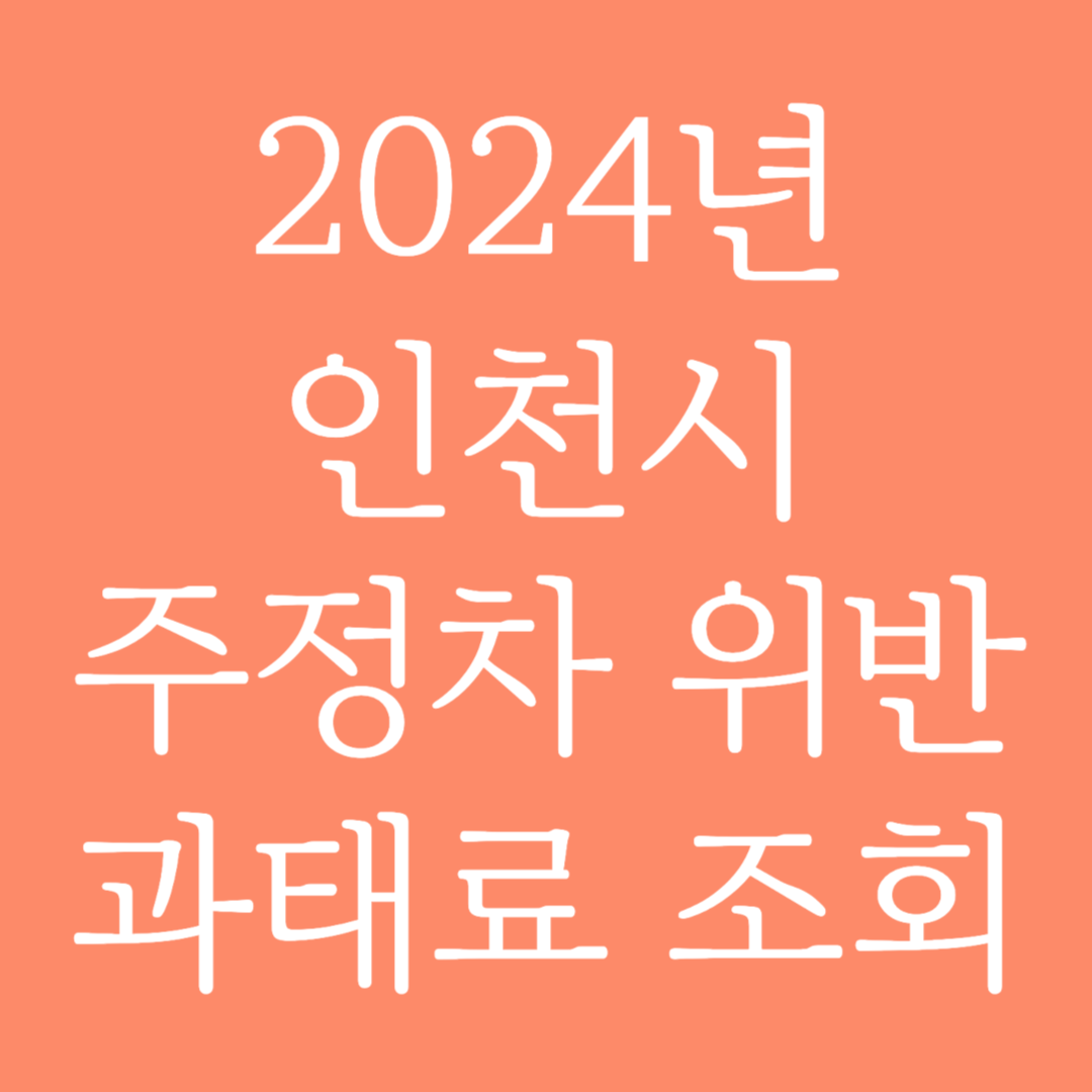 2024년 인천시 주정차 위반 과태료 조회하기