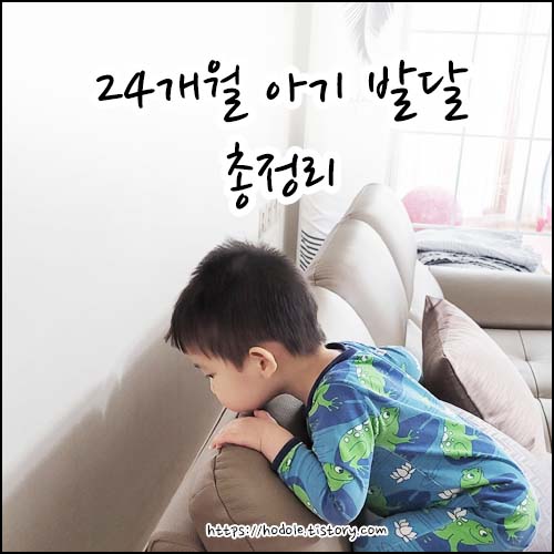 24개월-아기발달-총정리