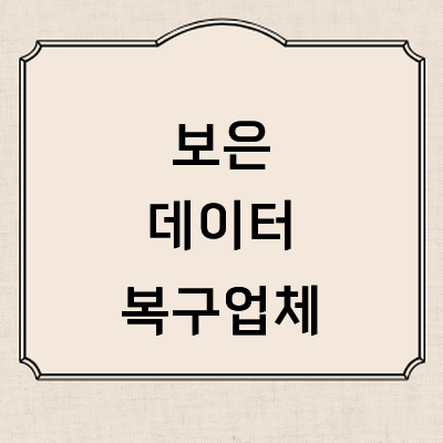 보은군 데이터복구