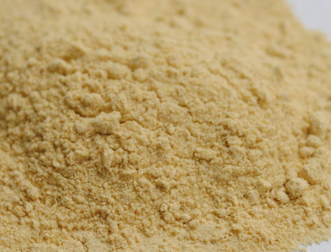 . 상황버섯 복용법 : 분말