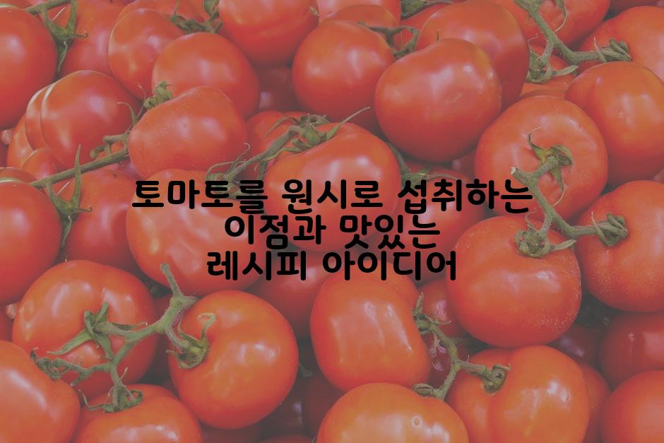 토마토를 원시로 섭취하는 이점과 맛있는 레시피 아이디어