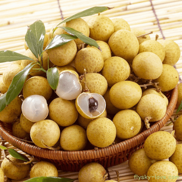 불면증에 효과적인 용안