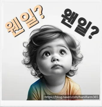 보내 보네 헷갈리는 맞춤법 올바른 표기 완벽 정리_15