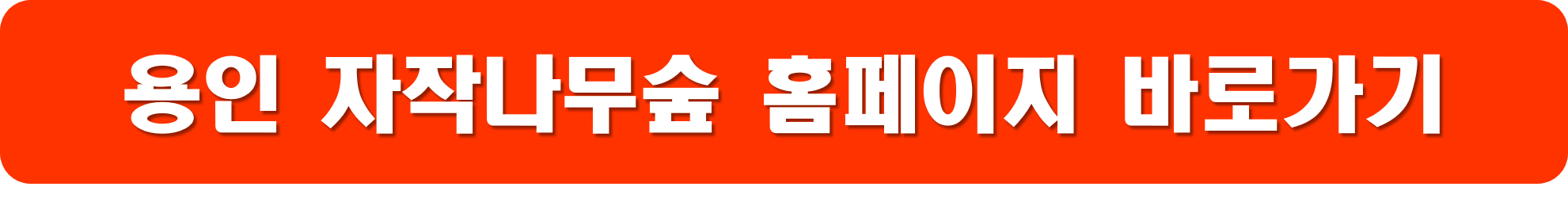 용인 자작나무숲 베툴라 대형 베이커피 카페