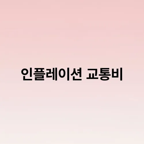 인플레이션 교통비