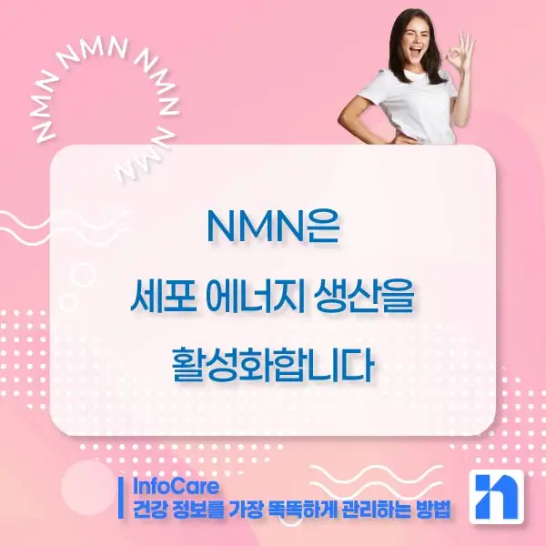 NMN 효능 효과 복용법