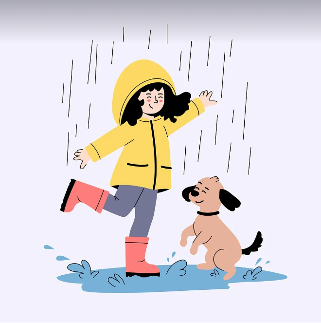 비 오는 날 강아지 놀이