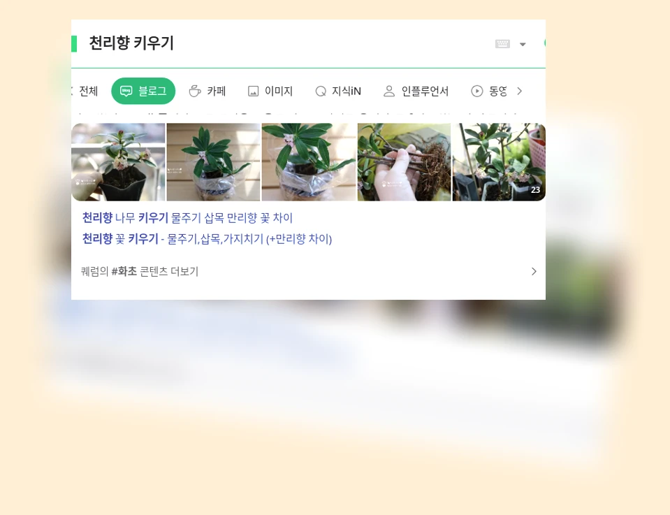 천리향 키우기_1_subsection