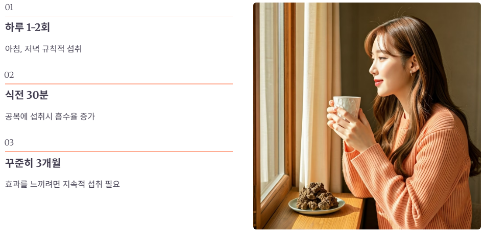 차가버섯 올바르게 복용하는 법