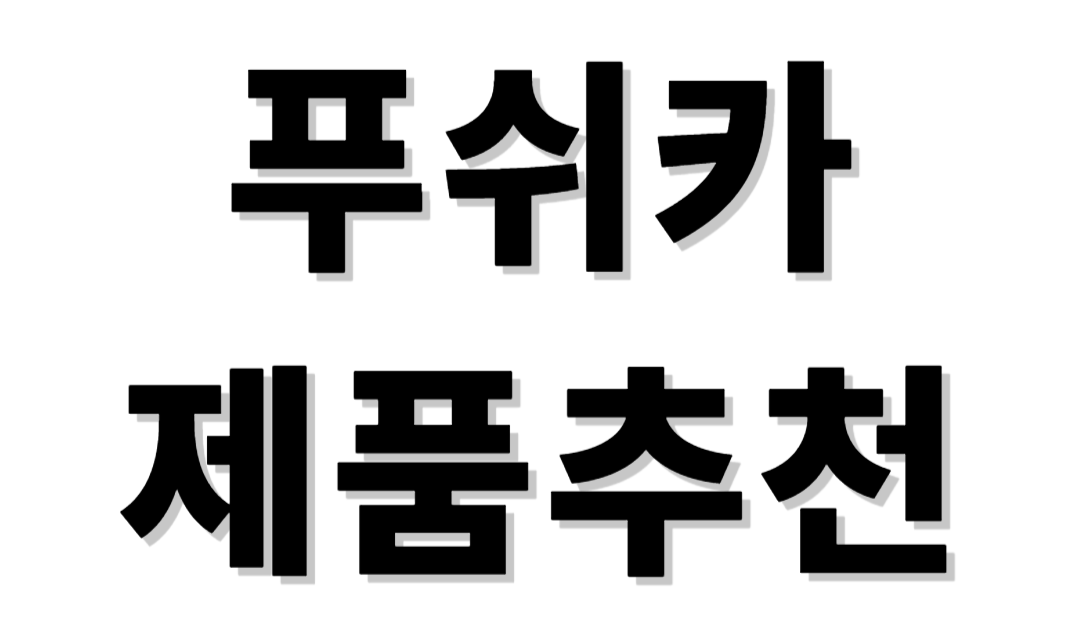 푸쉬카 제품추천