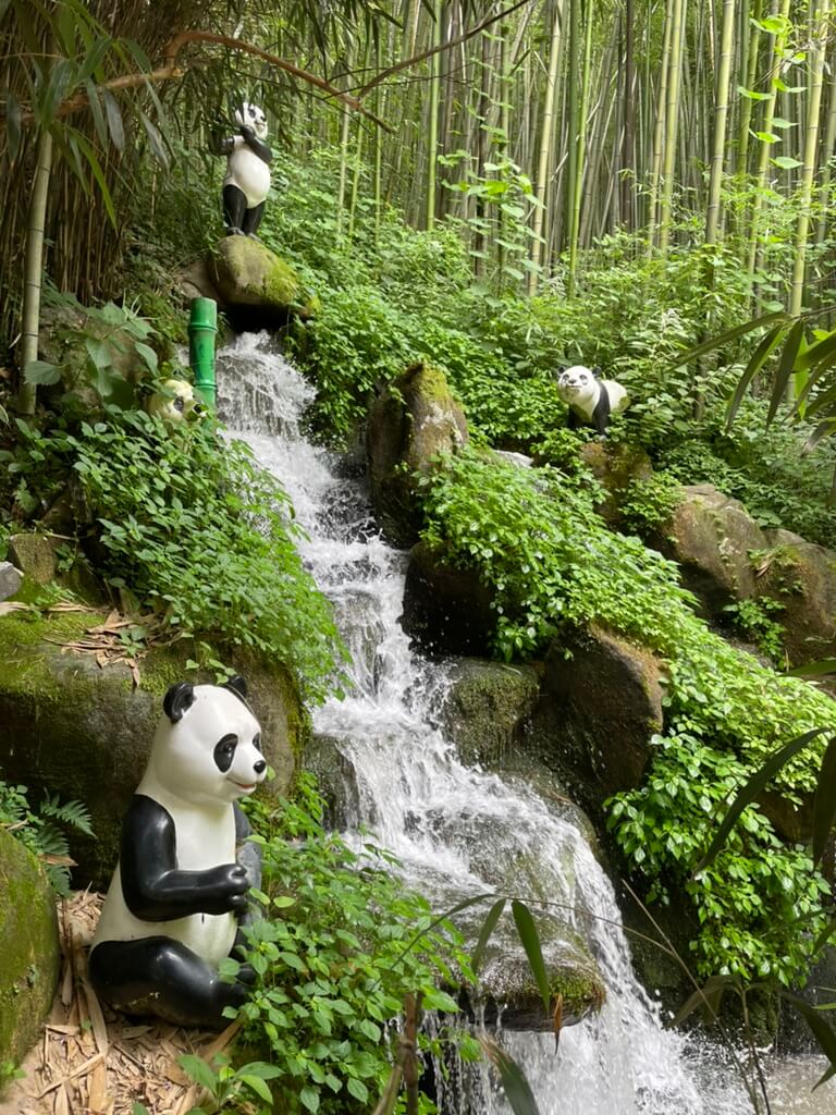 담양 대나무축제