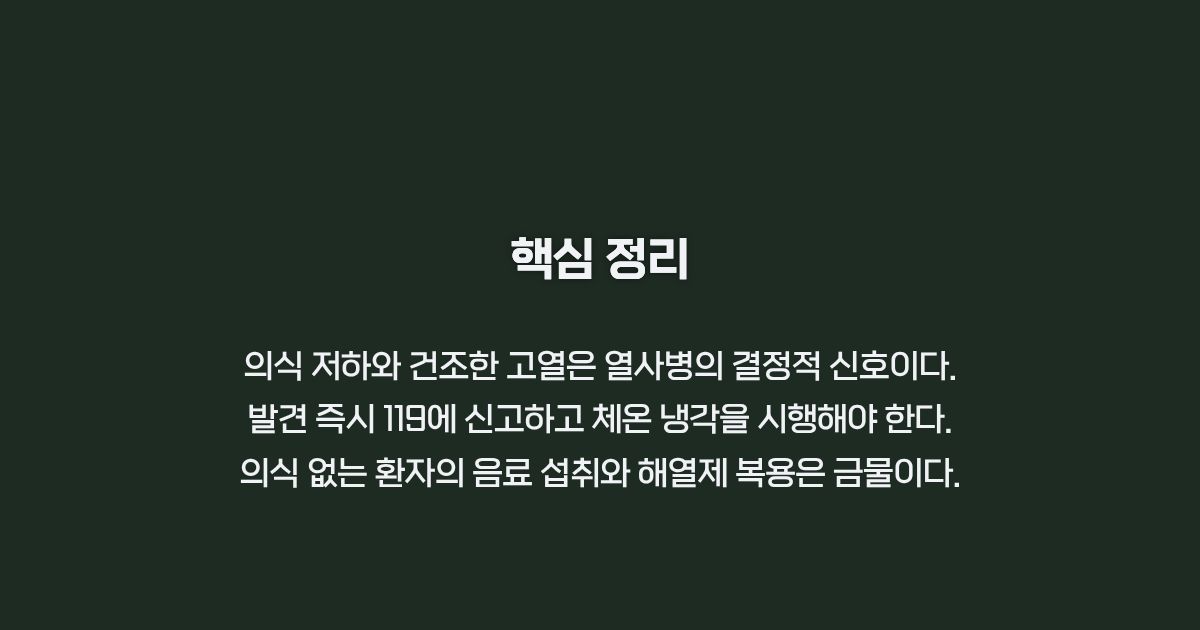 열사병 핵심 증상 및 대처법 요약 정리 카드뉴스