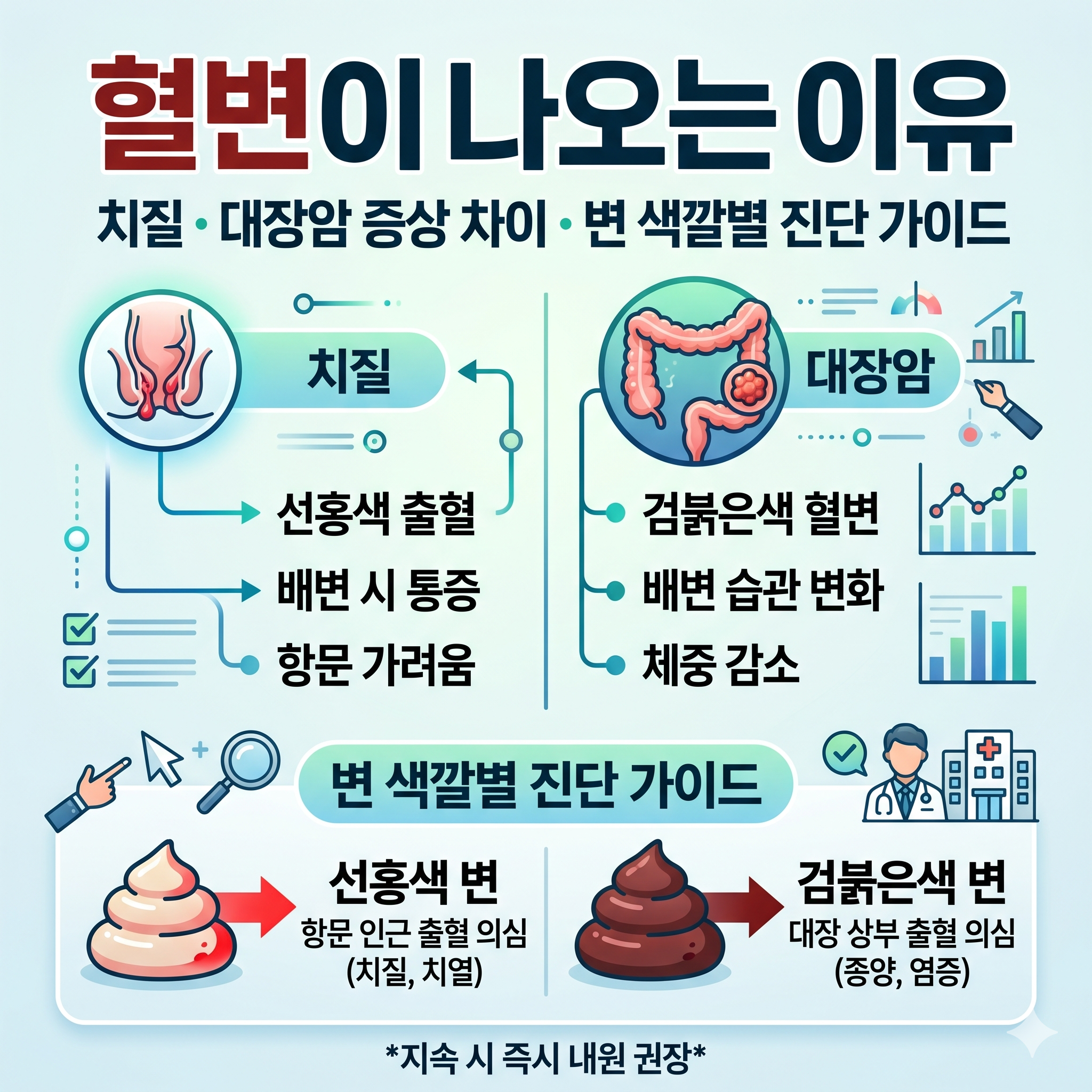 혈변이나오는이유 치질 대장암 증상 차이 및 변 색깔별 진단 가이드