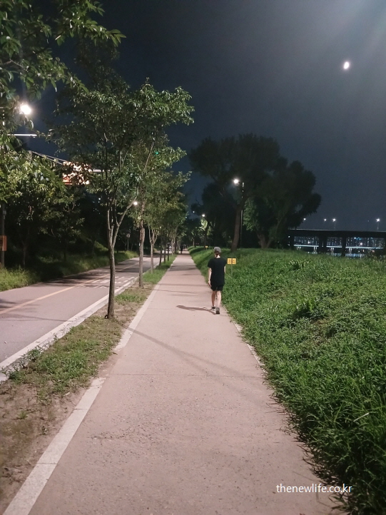 달빛 아래 한강변을 걷는 사람 – 장시간 걷기 운동 후 소금 부족 증상과 연결될 수 있는 장면