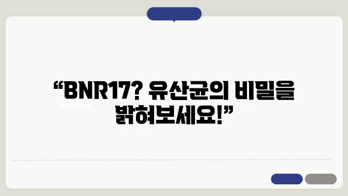 BNR17 유산균의 복용법