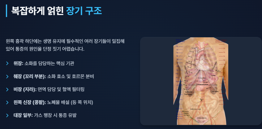 왼쪽 갈비뼈 아래 통증