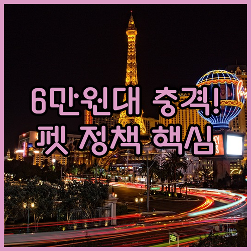 싱가포르 숙소 가성비 끝판왕 6만원대..