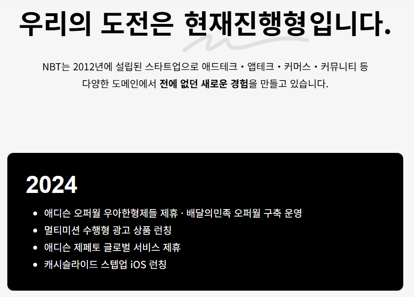 엔비티-기업-연혁