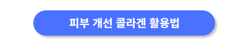 버튼