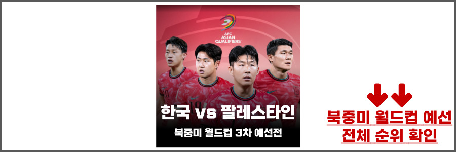 한국 팔레스타인 축구