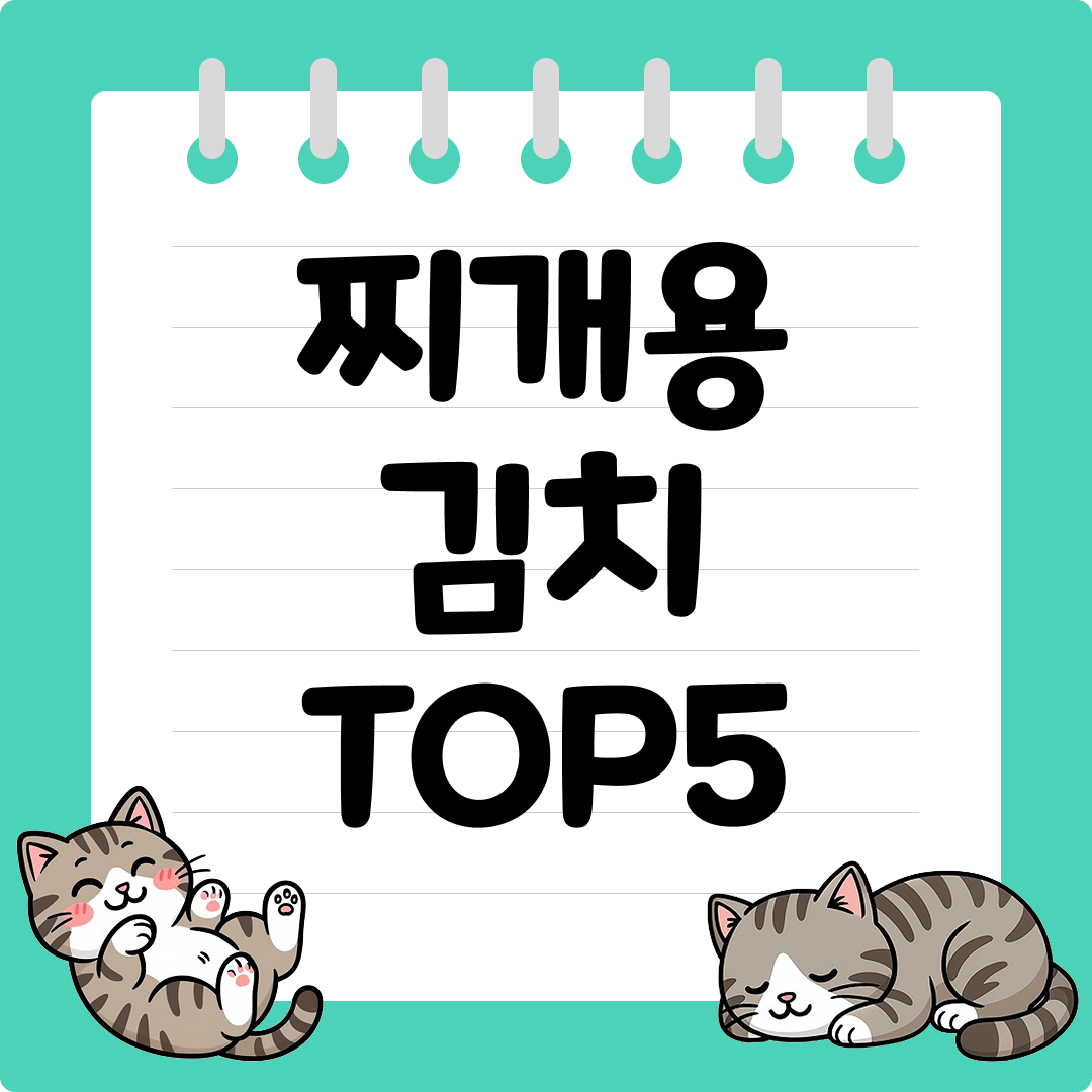 실패 할 수가 없는 잘 익은 찌개용 김치 추천 순위 TOP5