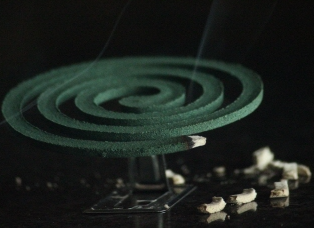 모기향을 이용한 모기 예방하기 