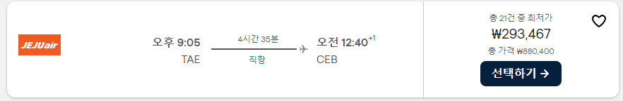 대구-세부-항공권