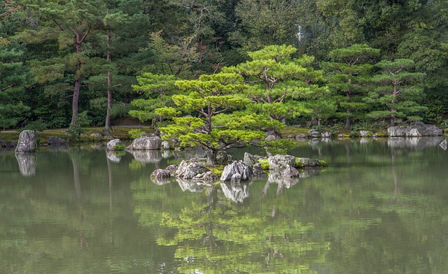 가족&middot;연인&middot;친구와 함께, 일본여름 여행지 비교 (바다 vs 계곡, 음식, 체험)