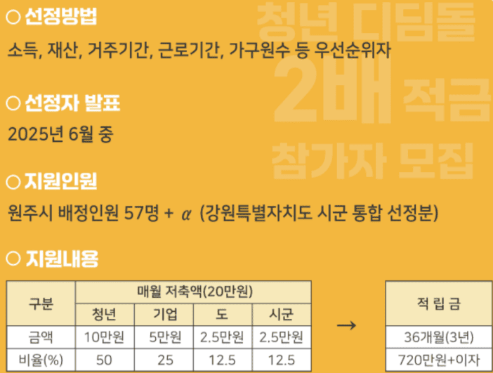청년디딤돌
