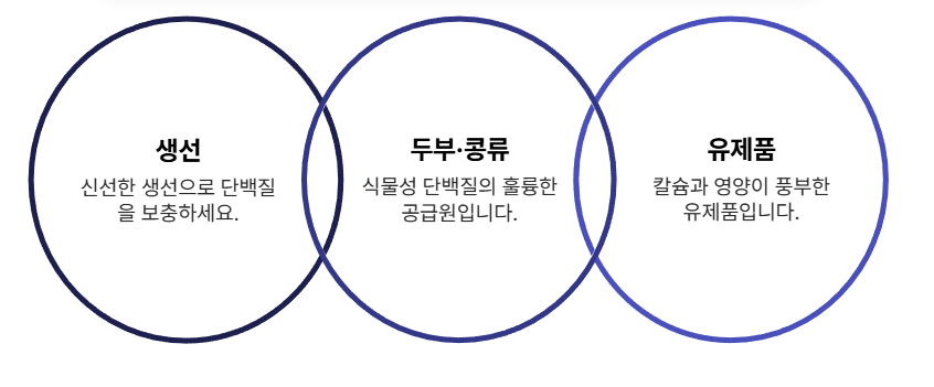 알부민 많은 음식(생선, 두부, 유제품)