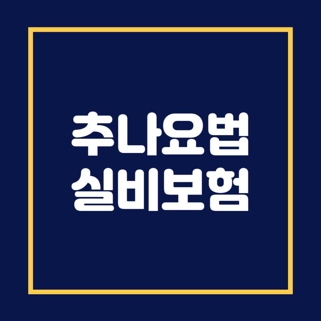 추나요법 실비