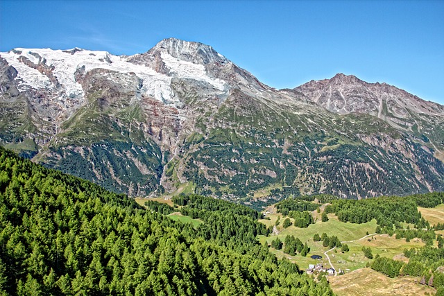 호주 로튼 포레스트 산 풍경