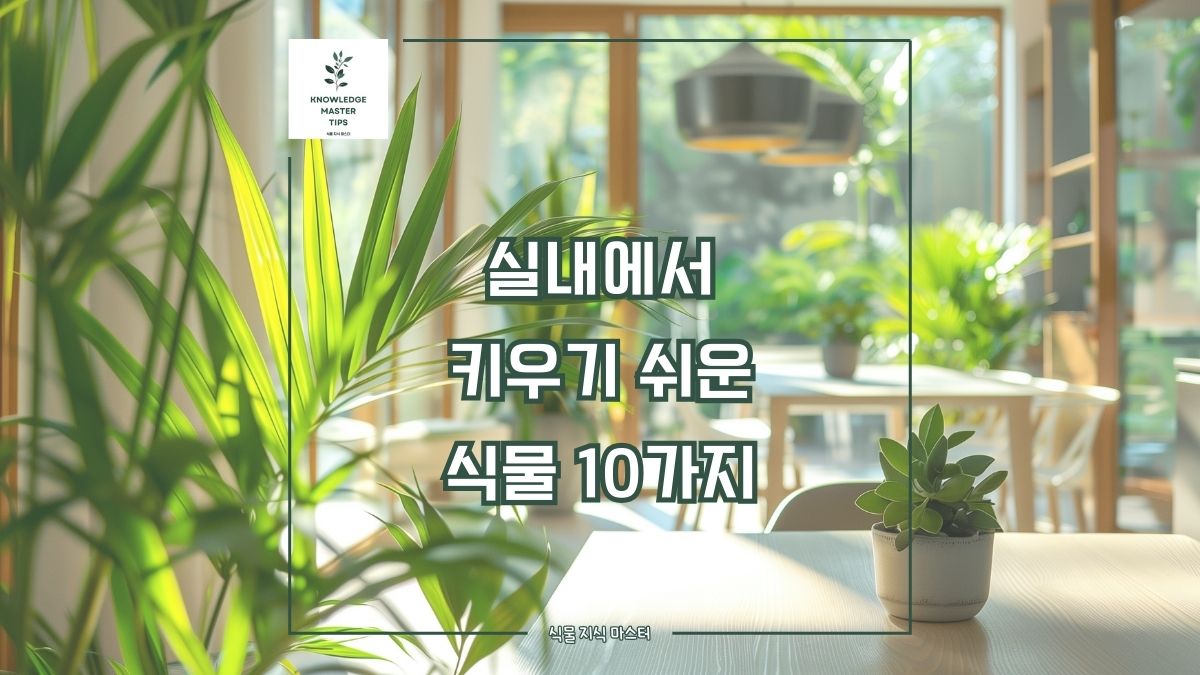 실내에서 키우기 쉬운 식물 10가지