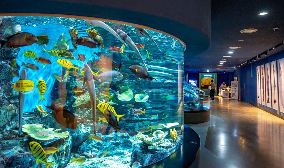 제주 동쪽 가볼만한곳 (아쿠아플라넷 제주)